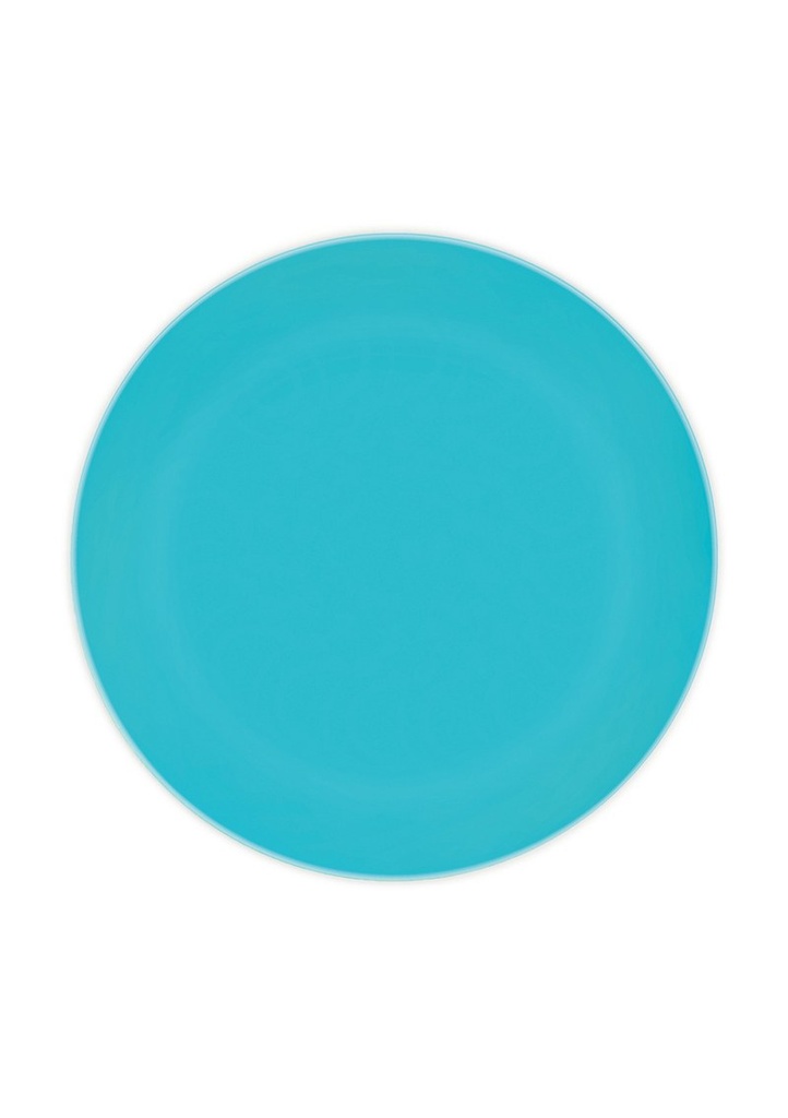 [92893] Solid Colour Turquoise Reusable Plates 20cm - 2pk