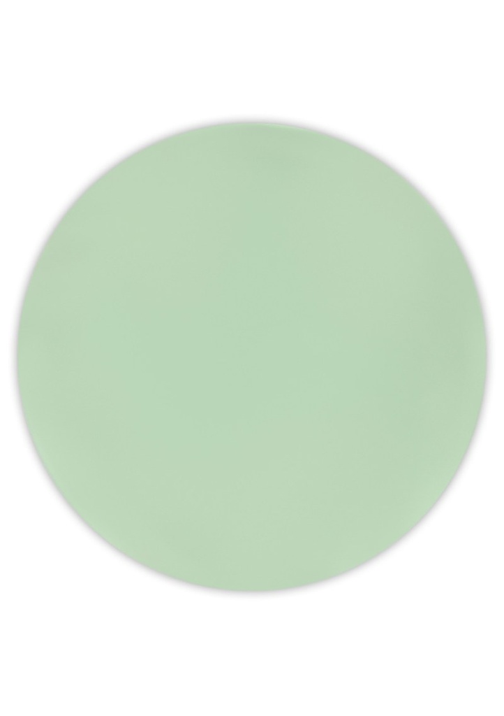 Solid Colour Mint Pastel Reusable Plates 25cm - 2pk