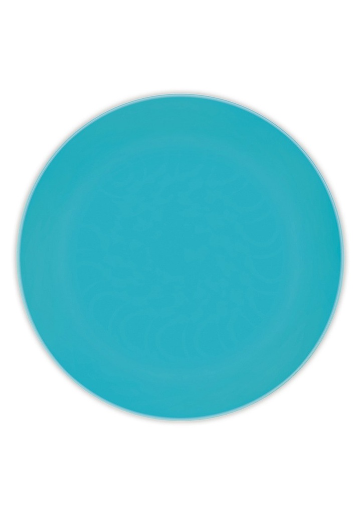[92890] Solid Colour Turquoise Reusable Plates 25cm - 2pk