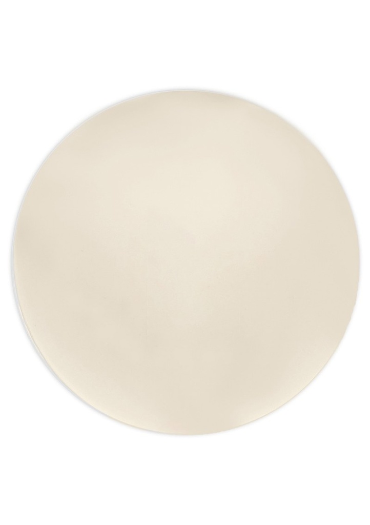 Solid Colour Beige Reusable Plates 25cm - 2pk
