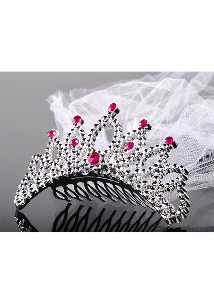 Tiara With A Veil For A Bachelorette Party, Silver
