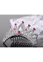 Tiara With A Veil For A Bachelorette Party, Silver