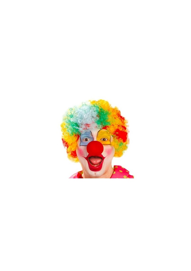 Multicoloured Clown Afro Wig - Adult One Size