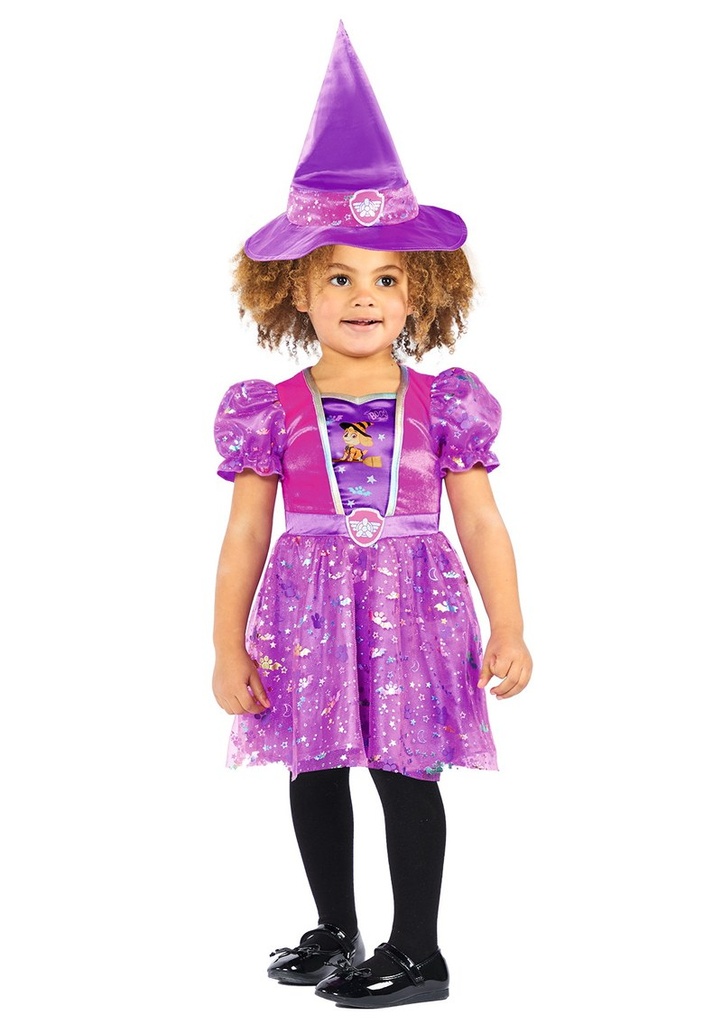 Licensed Paw Patrol Skye Witch Halloween Costume - Age 4 to 6 Years