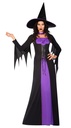 Mystic Purple Classic Witch Costume - Adult Size Medium