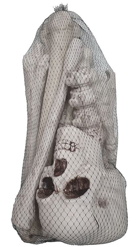 Complete Bag of Skeleton Bones Decoration Kit