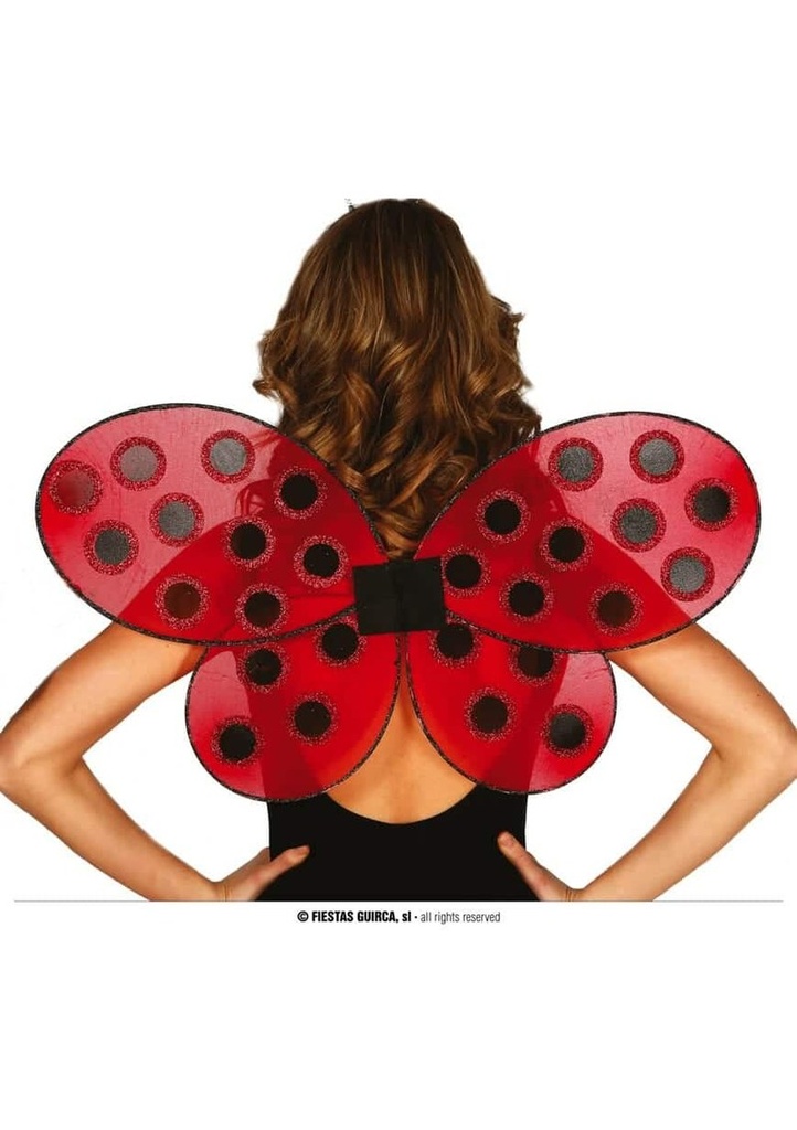 Ladybird Wings - 52x43cm