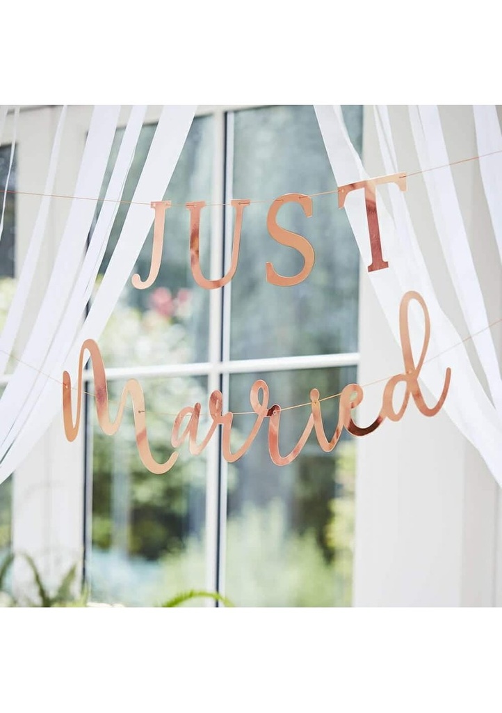 Rose Gold Scripted Just Married Banner