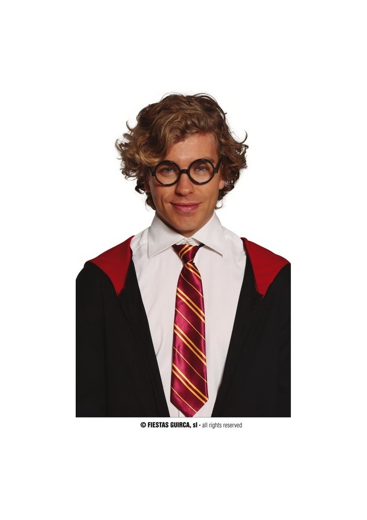 Harry Potter Student Tie