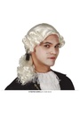 White Judge (18th Century) Wig - Adult One Size