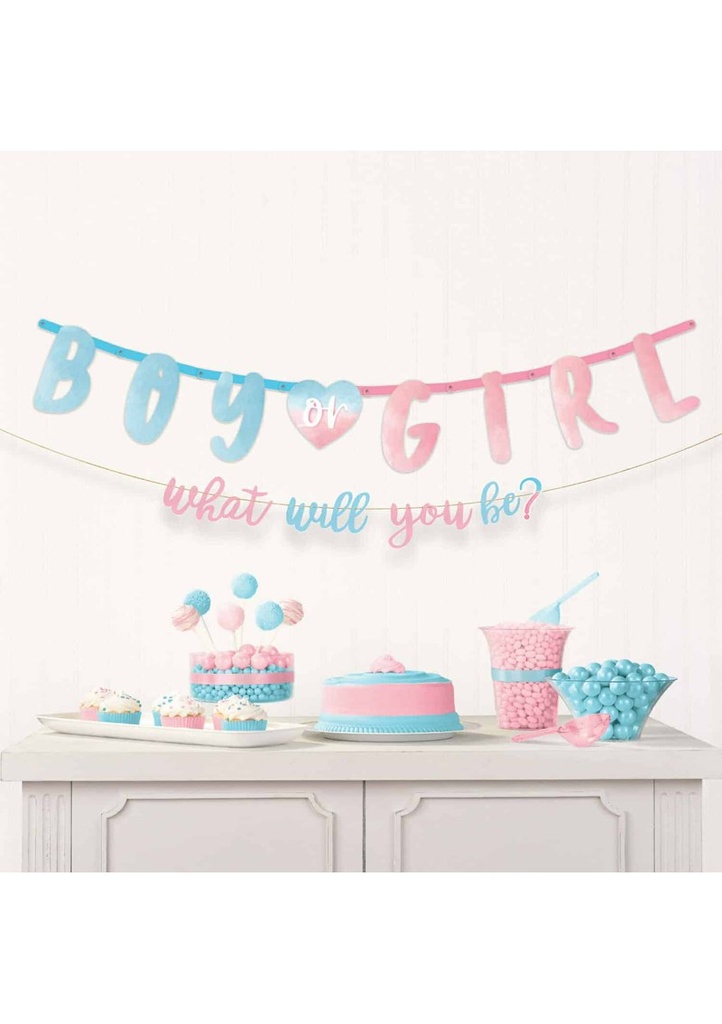 The Big Reveal Banner Kit - 2pk