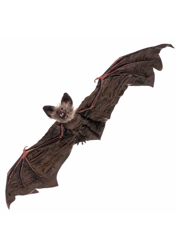 Hanging Bat - 65x24x6cm