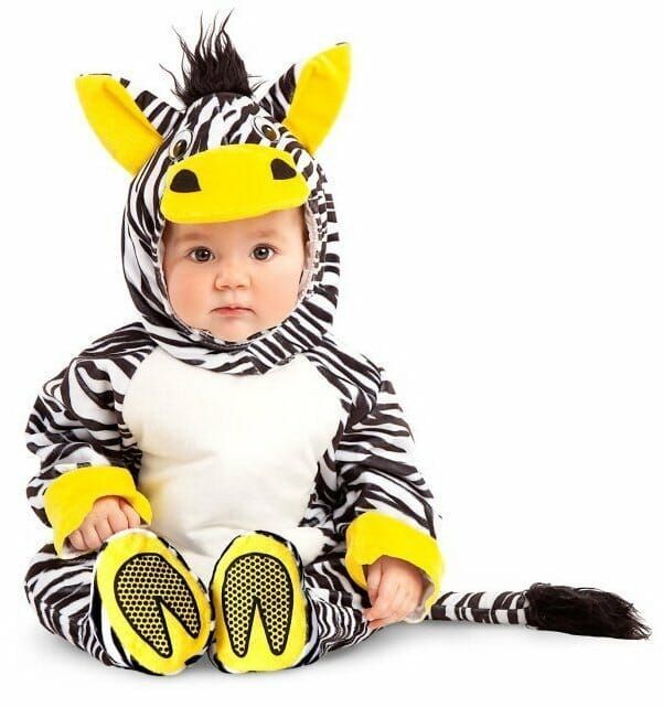 Cute Little Zebra - Age 7 to 12 Months