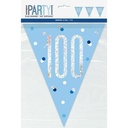 Birthday Blue Glitz Number 100 Flag Banner - 9 ft