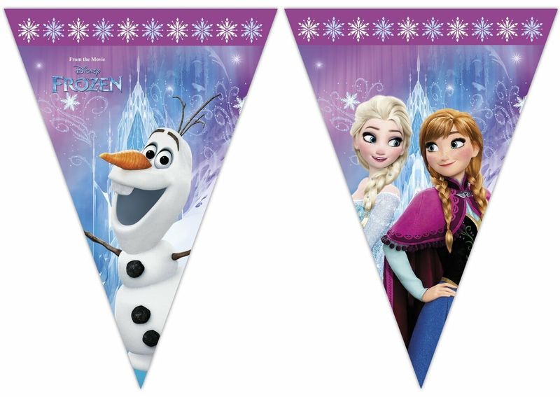 Disney Frozen Northern Lights Triangle Flag Banner (9 Flags)