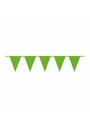 Pennant Flag Banner Plastic Kiwi Green - 10m x 32cm