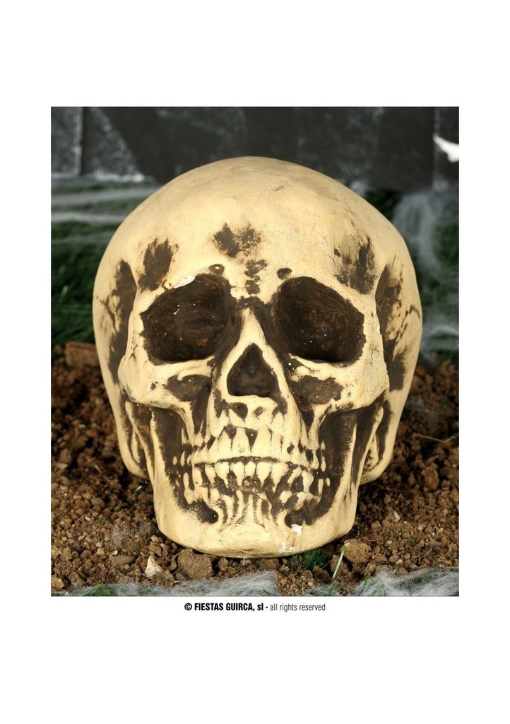 Halloween Foam Skull - 22cm