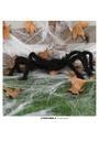 Halloween Spider - 70cm