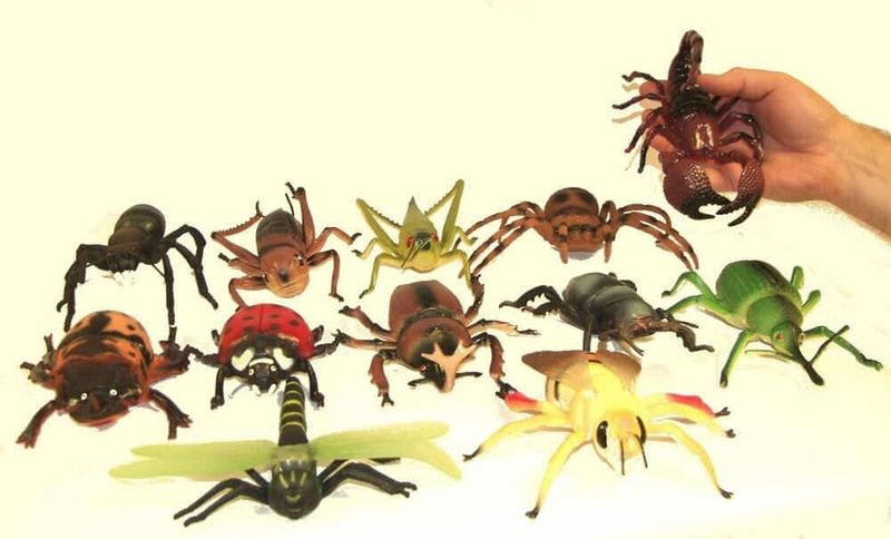 [030394] Assorted Creepy Crawlies