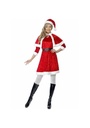 Miss Santa Costume With Cape - Adult Size Medium
