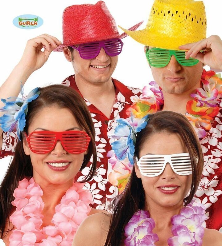 Assorted Hawaiian Shutter Glasses