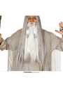 Extra Grey Beard - One Size