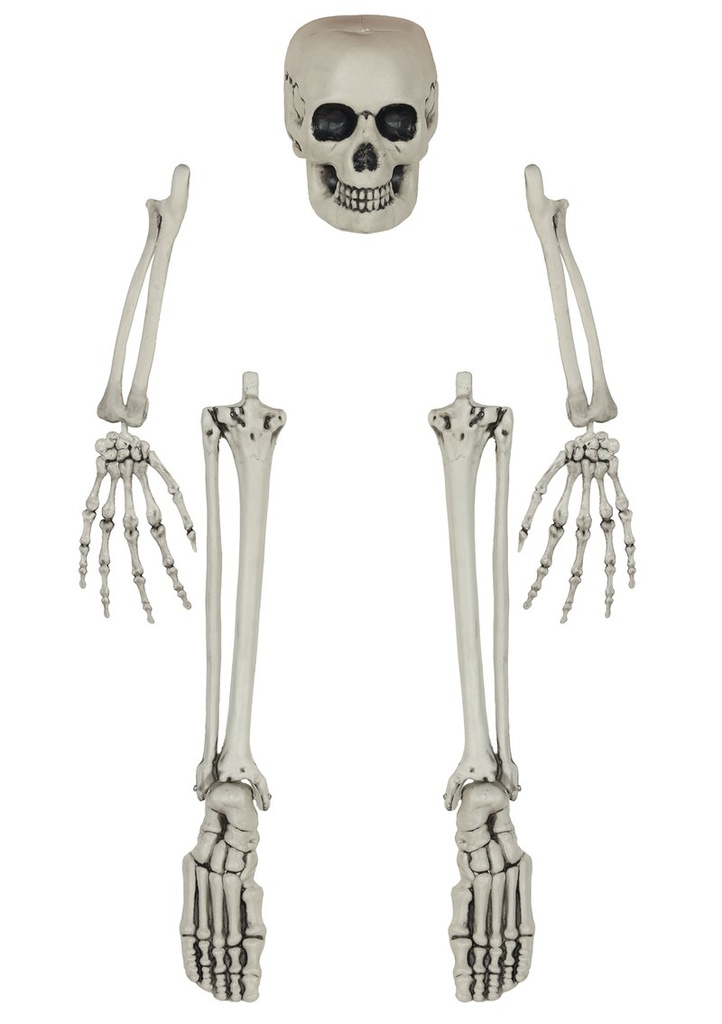 Halloween Skeleton Bone Set 5 Pieces