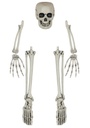 Halloween Skeleton Bone Set 5 Pieces
