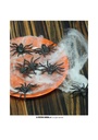 Spiders Black Plastic - 8pk