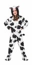 Cow - Age 10 to 12 Years