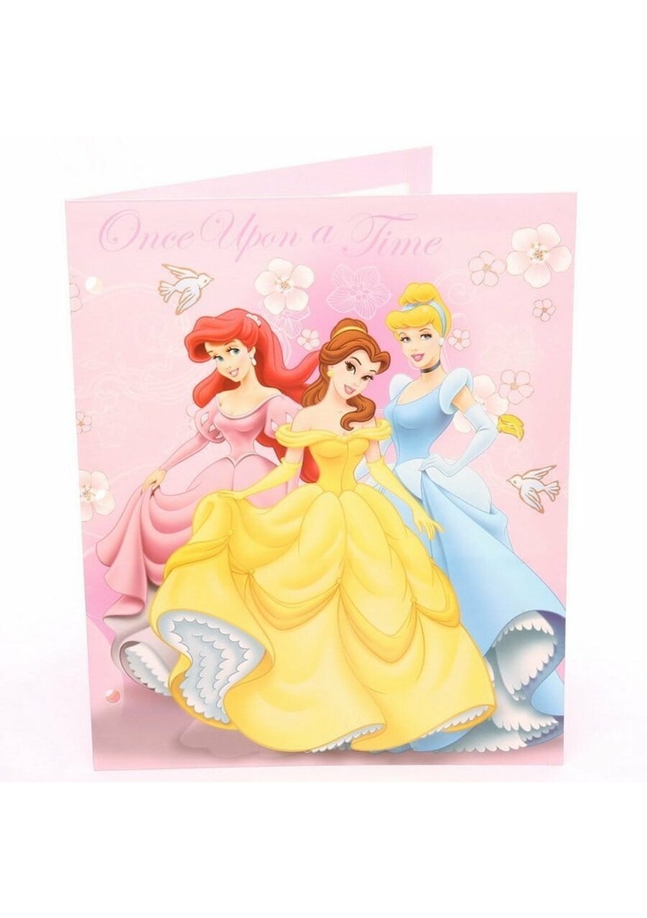 Princess Portfolio in Display - 29.5cm x24.5cm