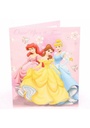 Princess Portfolio in Display - 29.5cm x24.5cm