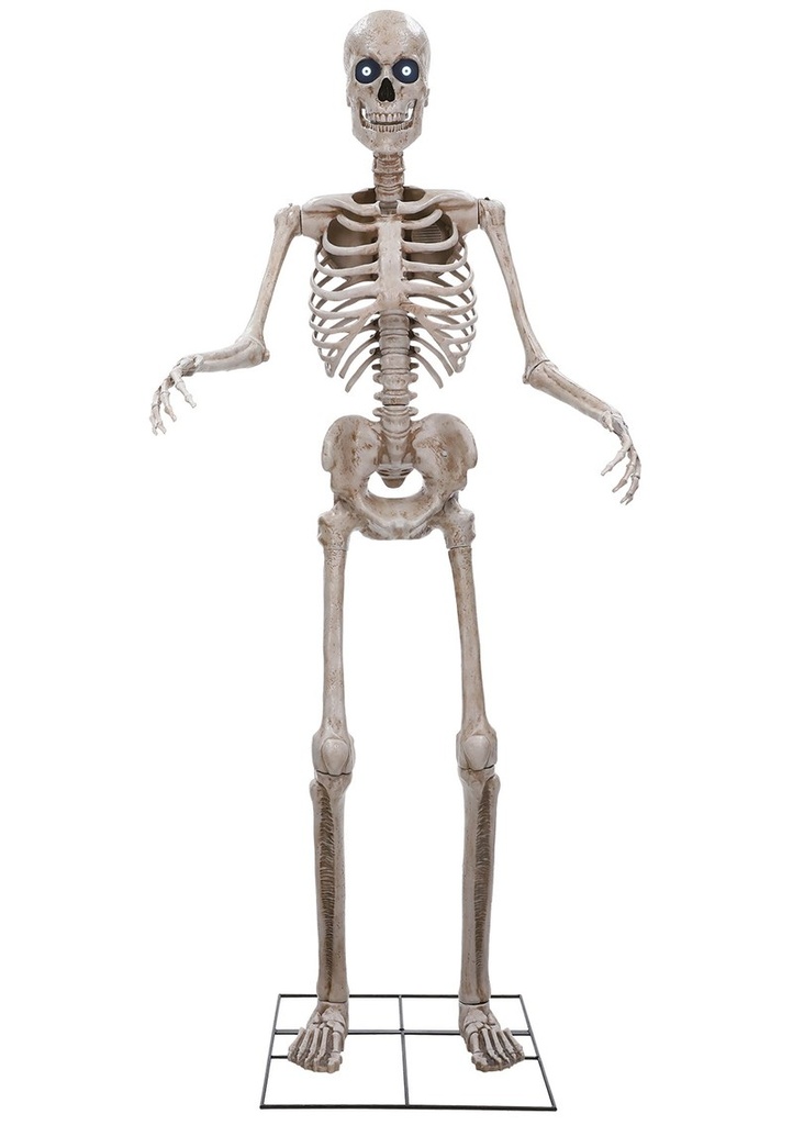 Halloween Animatronic Standing Towering Skeleton 243cm