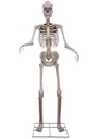 Halloween Animatronic Standing Towering Skeleton 243cm
