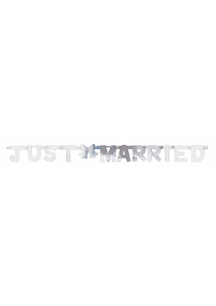 Just Married Silver Letter Banner