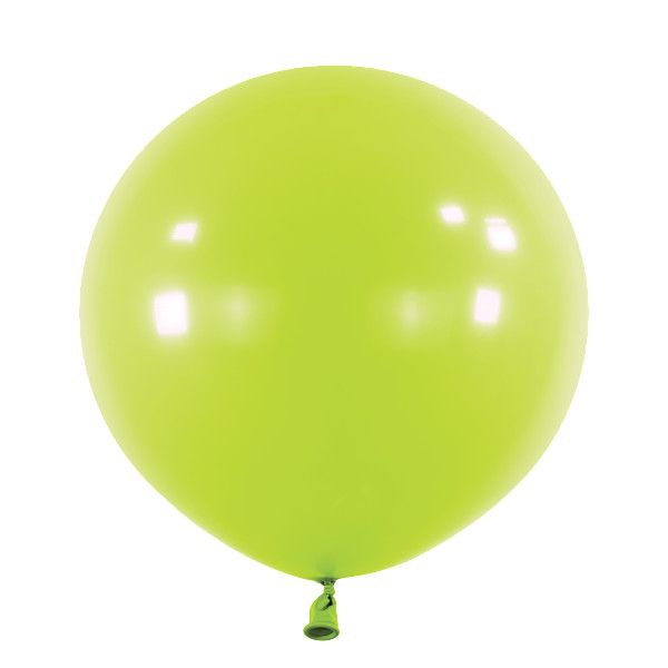 Anagram Latex Balloon - Fashion Kiwi  24" RND - 4pcs