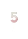 Pink Ombre Number 5 Wax Candle