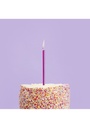 Hot Pink Skinny Candles With Holders 12pk (H)95mm