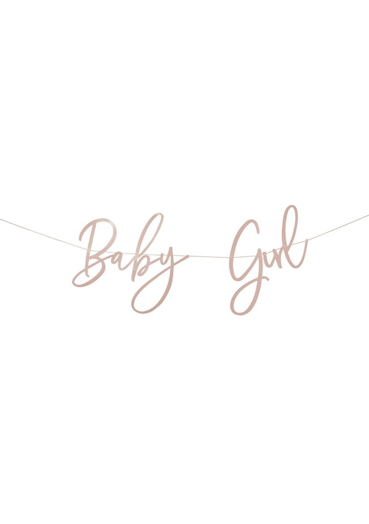 Pink Baby Girl Banner 2M