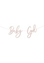 Pink Baby Girl Banner 2M