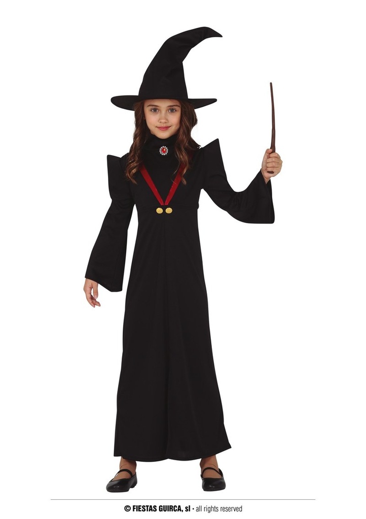 Harry Potter Girl Professor – Age 10 to 12 Years