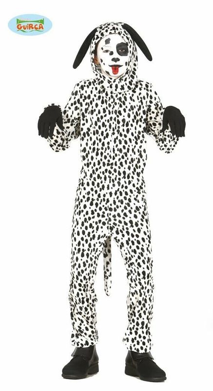 Dalmatian Puppy – Age 3 to 4 Years