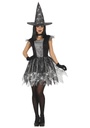 Silver Witch Lady Costume – Adult Size Extra Large (44-46)