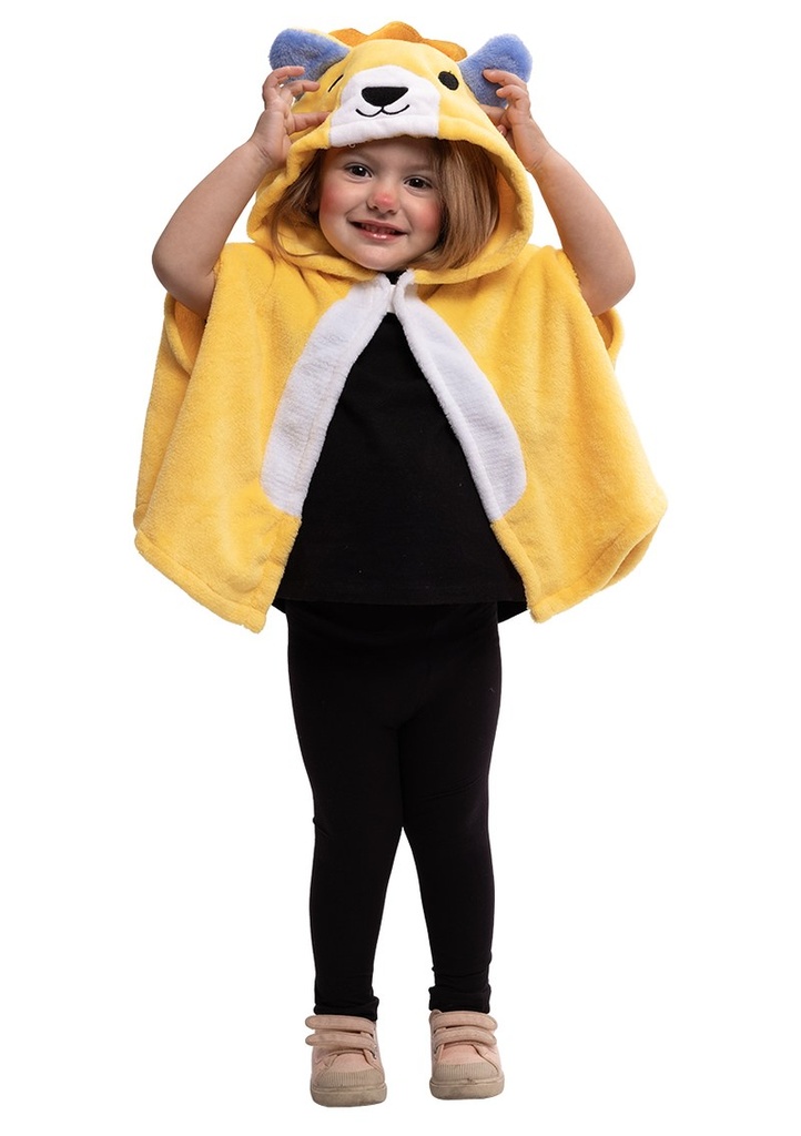 Super Lion Costume Cape & Hood - Age 2 to 3 Years
