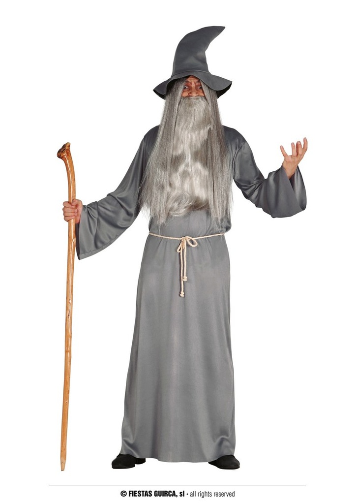 Wizard Costume – Adult Size Large (52-54)