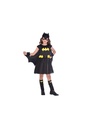 Licensed DC Classic Batgirl – Age 10 to 12 Years