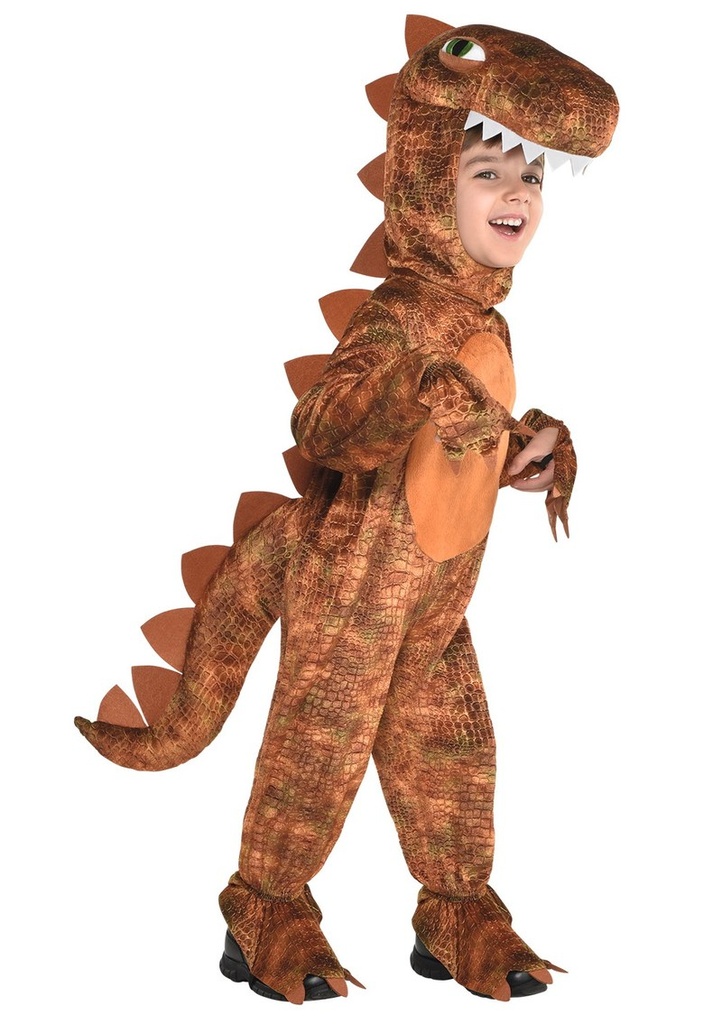 T-Rex Dinosaur Costume – Age 6 to 8 Years