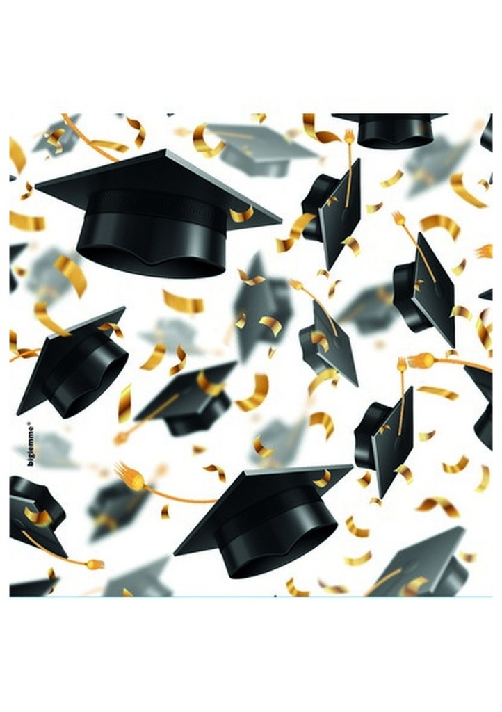 Graduation Hats Napkins 25x25cm - 20pcs