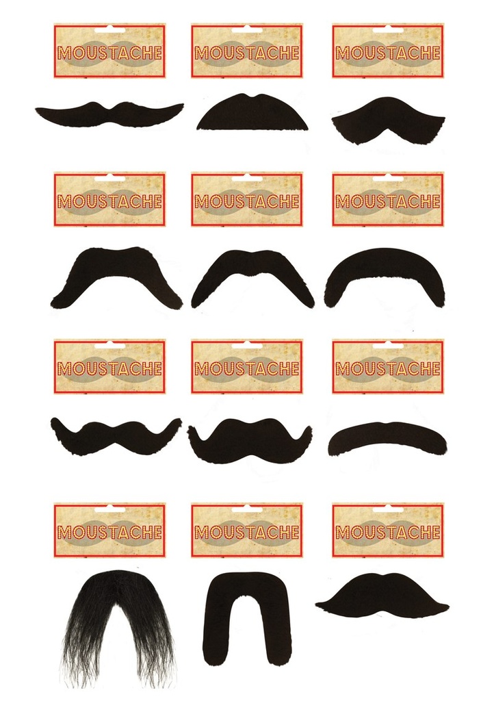 Fake Moustache (Assorted Styles)