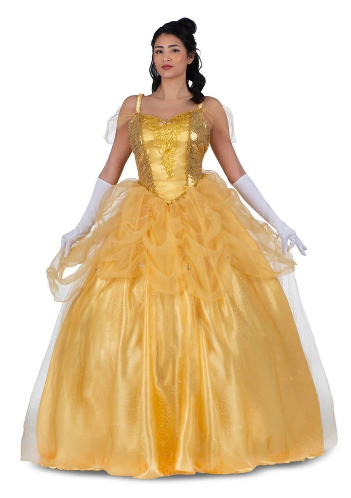 Enchanted Princess Belle Costume - Adult Size Large